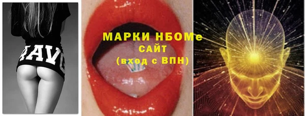 индика Бикин