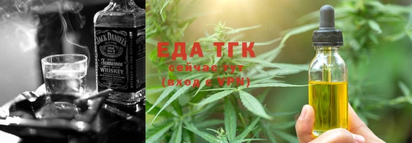 индика Бикин