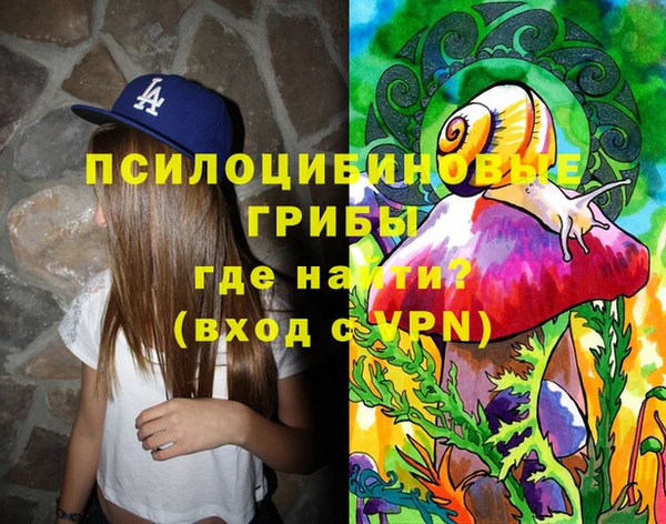 СК Кукмор
