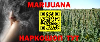 твердый Бийск