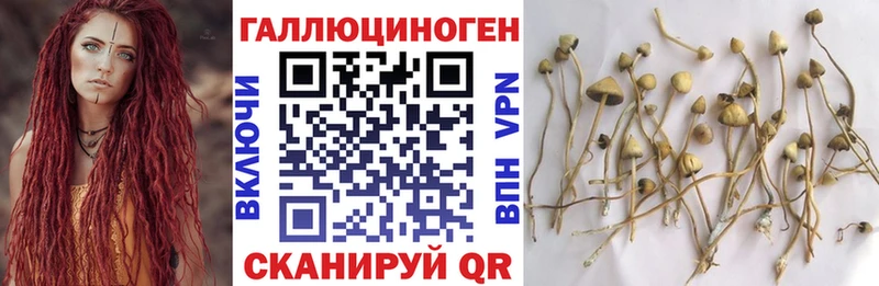 Галлюциногенные грибы Cubensis  цены   Кудымкар 