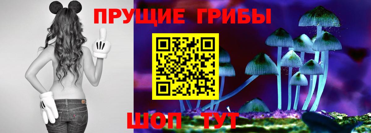 Псилоцибиновые грибы ЛСД Кудымкар